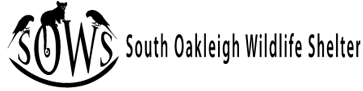 SOWS Logo
